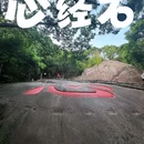 普陀山风景区 - 舟山旅游 缩略图 7