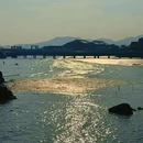 普陀山风景区 - 舟山旅游 缩略图 9