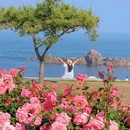 燕儿岛 - 青岛市旅游 缩略图 4