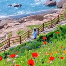 燕儿岛 - 青岛市旅游 缩略图 1