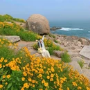 燕儿岛 - 青岛市旅游 缩略图 2
