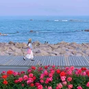 燕儿岛 - 青岛市旅游 缩略图 8