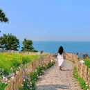 燕儿岛 - 青岛市旅游 缩略图 7