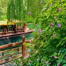 趵突泉公园 - 济南市旅游 缩略图 6