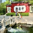 李清照故居 - 济南市旅游 缩略图 9