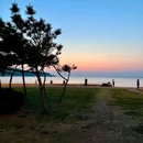 威海公园 - 威海市旅游 缩略图 8
