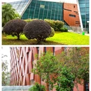 广州白云国际会议中心国际会堂 - 广州市旅游 缩略图 9