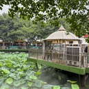上海豫园 - 上海市旅游 缩略图 8