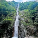 顺溪景区 - 温州市旅游 缩略图 1