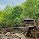 顺溪景区 - 温州市旅游 缩略图 7