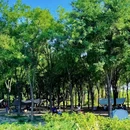 南苑森林湿地公园 - 北京市旅游 缩略图 4