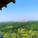 南苑森林湿地公园 - 北京市旅游 缩略图 5