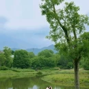 石河溪湿地公园 - 重庆市旅游 缩略图 3