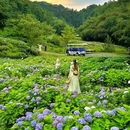 鹿野花塔 - 成都市旅游 缩略图 1