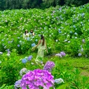 鹿野花塔 - 成都市旅游 缩略图 2