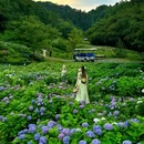 鹿野花塔 - 成都市旅游 缩略图 3