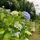 鹿野花塔 - 成都市旅游 缩略图 7