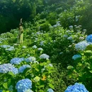 鹿野花塔 - 成都市旅游 缩略图 9