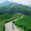 杭州西溪喜来登度假大酒店 - 杭州市旅游 缩略图 3
