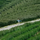 杭州西溪喜来登度假大酒店 - 杭州市旅游 缩略图 4