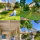 金山森林公园 - 成都市旅游 缩略图 9