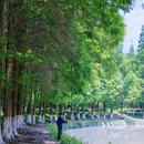沙河公园 - 成都市旅游 缩略图 6