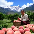 拉萨旅游 缩略图 5
