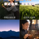 拉萨旅游 缩略图 2