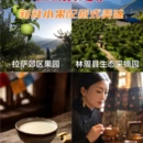 拉萨旅游 缩略图 3
