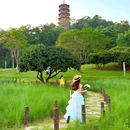 红花山公园 - 深圳市旅游 缩略图 1