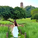 红花山公园 - 深圳市旅游 缩略图 2
