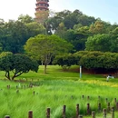 红花山公园 - 深圳市旅游 缩略图 9