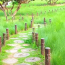 红花山公园 - 深圳市旅游 缩略图 6