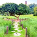 红花山公园 - 深圳市旅游 缩略图 7