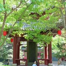 碑林公园 - 太原市旅游 缩略图 4