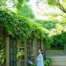 碑林公园 - 太原市旅游 缩略图 1