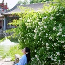 碑林公园 - 太原市旅游 缩略图 7