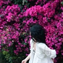 东门坡 - 昆明市旅游 缩略图 5