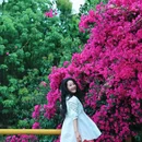 东门坡 - 昆明市旅游 缩略图 8