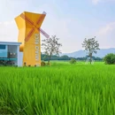 广州增城丝苗米稻田公园 - 广州市旅游 缩略图 2