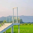 广州增城丝苗米稻田公园 - 广州市旅游 缩略图 8