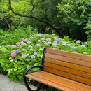 青岛中山公园 - 青岛市旅游 缩略图 5