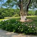 青岛中山公园 - 青岛市旅游 缩略图 6