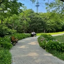 青岛中山公园 - 青岛市旅游 缩略图 7