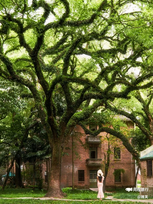 中山大学(广州校区南校园)北门广场 - 广州市旅游