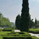 汉口江滩-永清门 - 武汉市旅游 缩略图 3