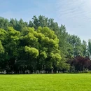汉口江滩-永清门 - 武汉市旅游 缩略图 2