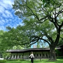 安隐寺遗址公园 - 杭州市旅游 缩略图 1