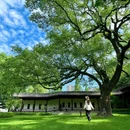 安隐寺遗址公园 - 杭州市旅游 缩略图 3