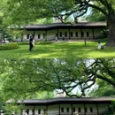 安隐寺遗址公园 - 杭州市旅游 缩略图 6